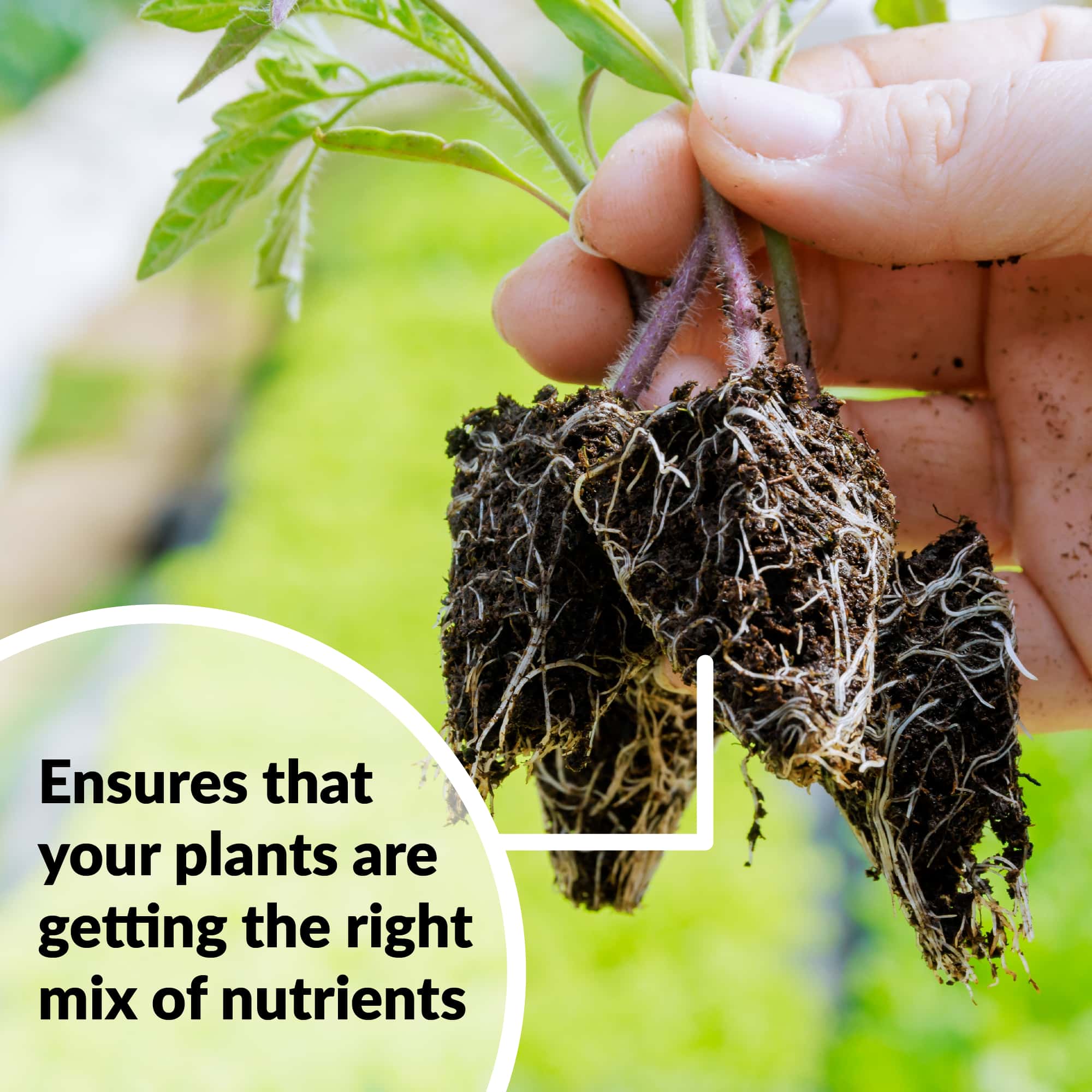 ensures that your plants are getting the right mix of nutrients